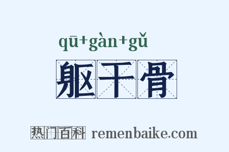 躯干骨是什么意思的图片